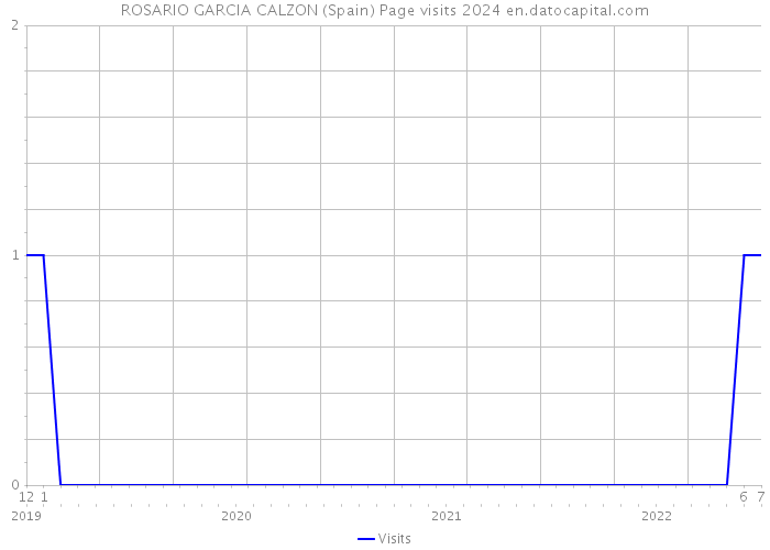 ROSARIO GARCIA CALZON (Spain) Page visits 2024 
