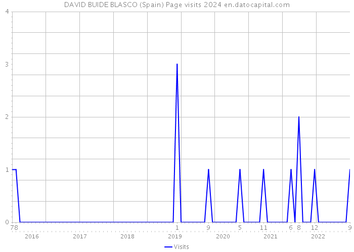 DAVID BUIDE BLASCO (Spain) Page visits 2024 