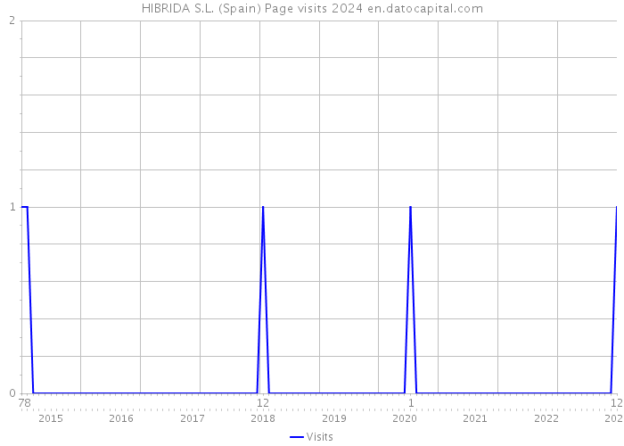 HIBRIDA S.L. (Spain) Page visits 2024 