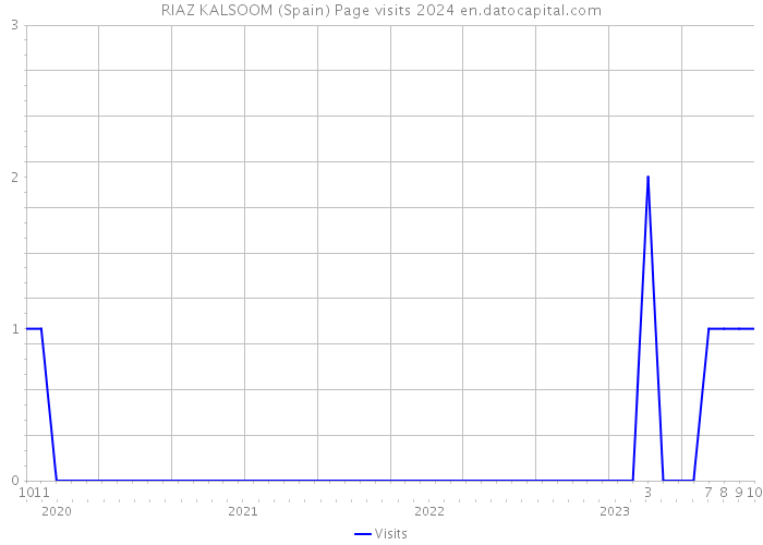 RIAZ KALSOOM (Spain) Page visits 2024 