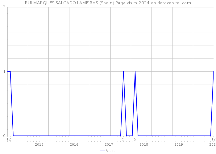 RUI MARQUES SALGADO LAMEIRAS (Spain) Page visits 2024 