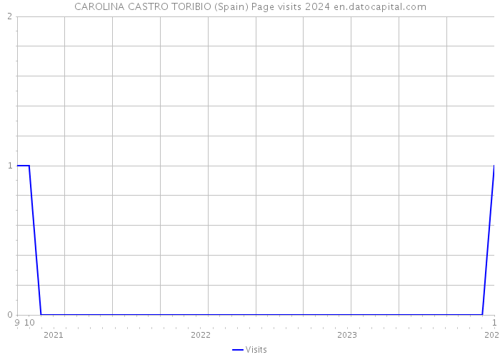 CAROLINA CASTRO TORIBIO (Spain) Page visits 2024 