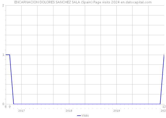 ENCARNACION DOLORES SANCHEZ SALA (Spain) Page visits 2024 