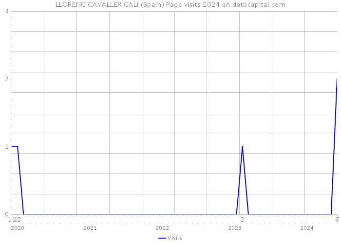 LLORENC CAVALLER GALI (Spain) Page visits 2024 
