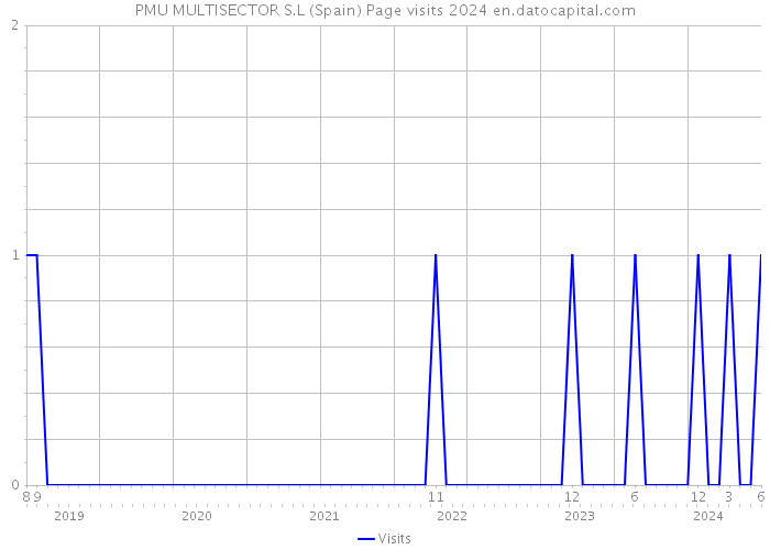 PMU MULTISECTOR S.L (Spain) Page visits 2024 