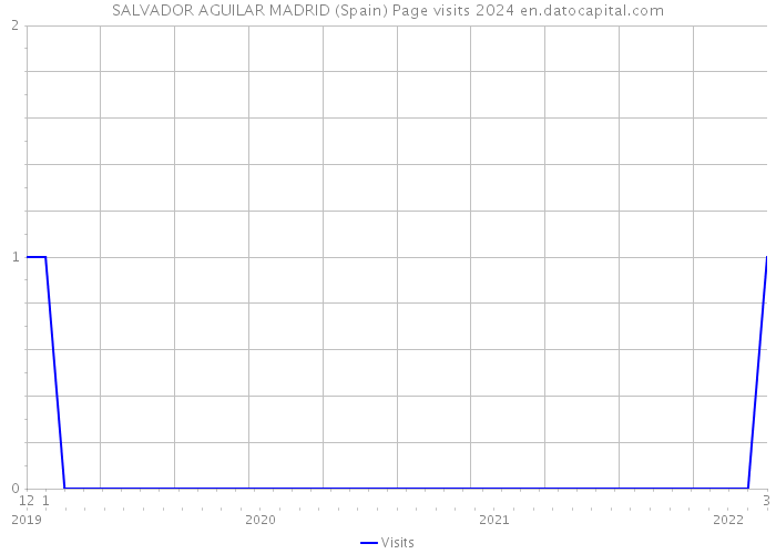 SALVADOR AGUILAR MADRID (Spain) Page visits 2024 