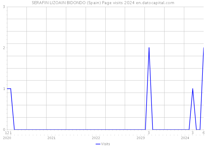 SERAFIN LIZOAIN BIDONDO (Spain) Page visits 2024 