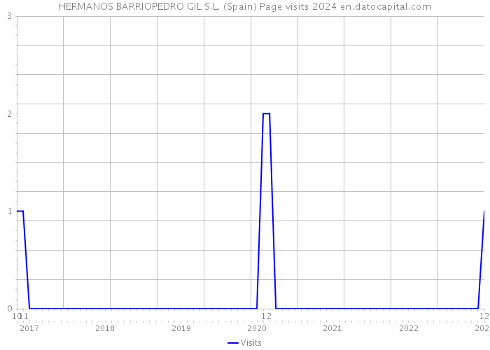 HERMANOS BARRIOPEDRO GIL S.L. (Spain) Page visits 2024 