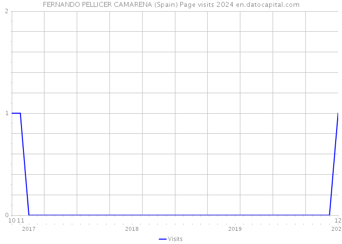 FERNANDO PELLICER CAMARENA (Spain) Page visits 2024 