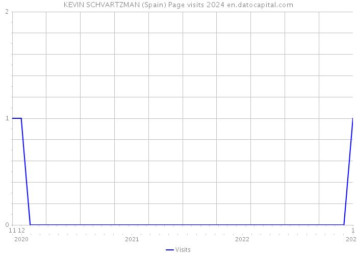 KEVIN SCHVARTZMAN (Spain) Page visits 2024 