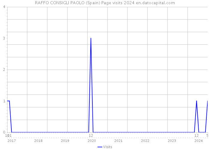 RAFFO CONSIGLI PAOLO (Spain) Page visits 2024 