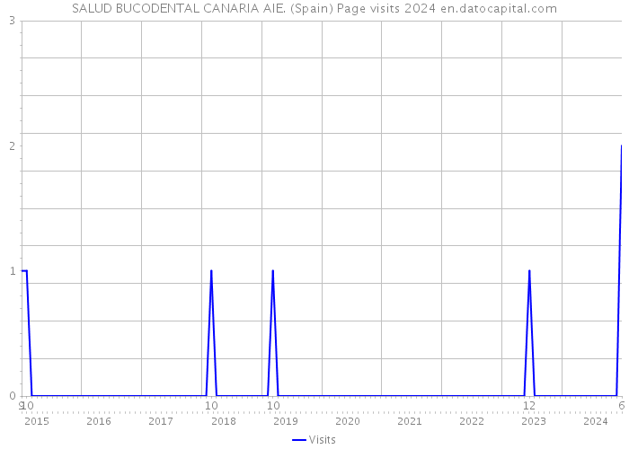 SALUD BUCODENTAL CANARIA AIE. (Spain) Page visits 2024 