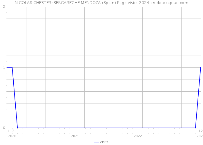 NICOLAS CHESTER-BERGARECHE MENDOZA (Spain) Page visits 2024 
