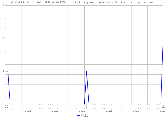 JESNATA SOCIEDAD LIMITADA PROFESIONAL. (Spain) Page visits 2024 