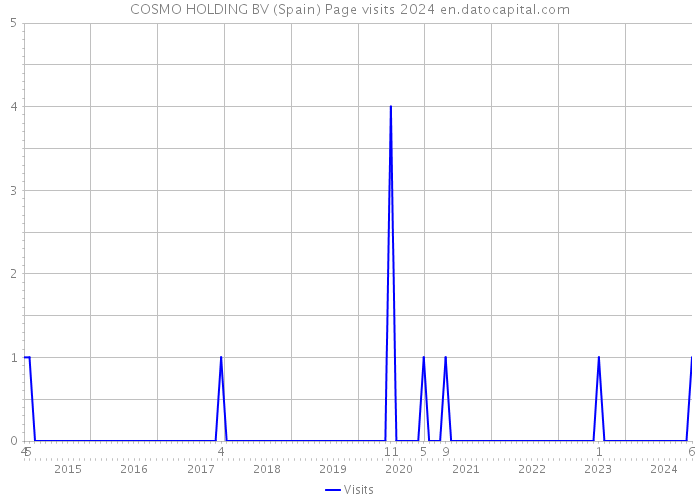 COSMO HOLDING BV (Spain) Page visits 2024 