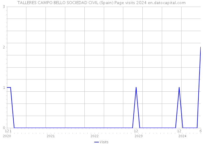 TALLERES CAMPO BELLO SOCIEDAD CIVIL (Spain) Page visits 2024 