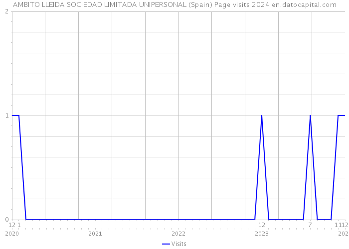 AMBITO LLEIDA SOCIEDAD LIMITADA UNIPERSONAL (Spain) Page visits 2024 