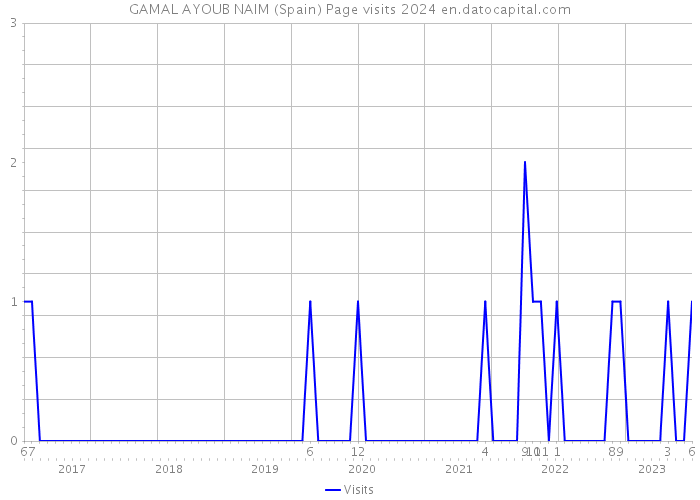 GAMAL AYOUB NAIM (Spain) Page visits 2024 