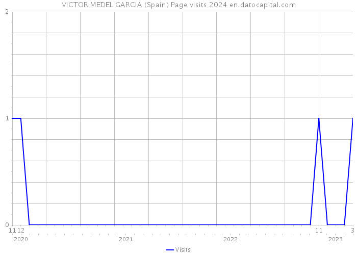 VICTOR MEDEL GARCIA (Spain) Page visits 2024 