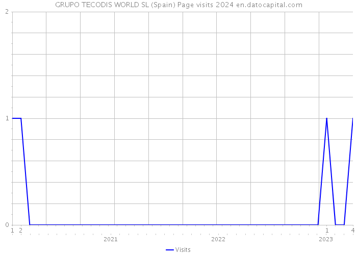 GRUPO TECODIS WORLD SL (Spain) Page visits 2024 