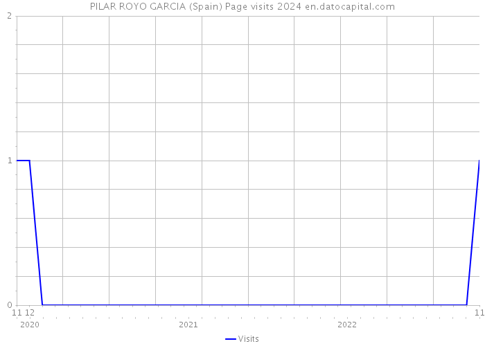 PILAR ROYO GARCIA (Spain) Page visits 2024 