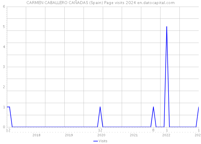 CARMEN CABALLERO CAÑADAS (Spain) Page visits 2024 