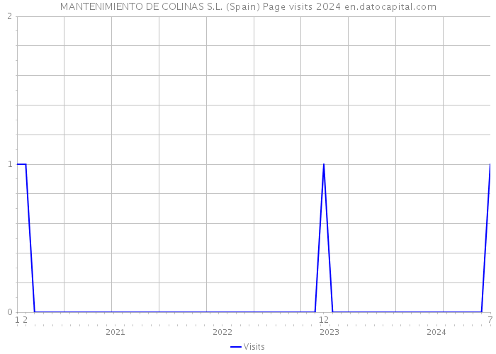 MANTENIMIENTO DE COLINAS S.L. (Spain) Page visits 2024 