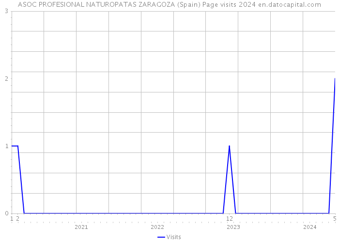 ASOC PROFESIONAL NATUROPATAS ZARAGOZA (Spain) Page visits 2024 