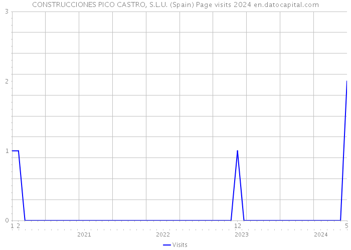 CONSTRUCCIONES PICO CASTRO, S.L.U. (Spain) Page visits 2024 