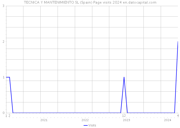 TECNICA Y MANTENIMIENTO SL (Spain) Page visits 2024 
