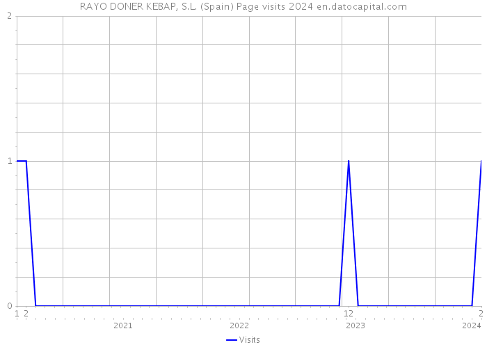 RAYO DONER KEBAP, S.L. (Spain) Page visits 2024 