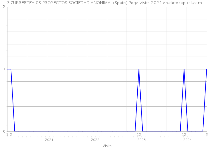 ZIZURRERTEA 05 PROYECTOS SOCIEDAD ANONIMA. (Spain) Page visits 2024 