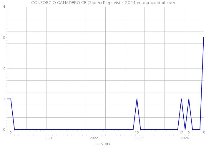 CONSORCIO GANADERO CB (Spain) Page visits 2024 