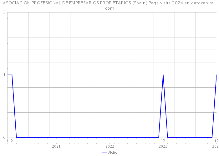 ASOCIACION PROFESIONAL DE EMPRESARIOS PROPIETARIOS (Spain) Page visits 2024 