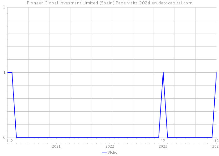 Pioneer Global Invesment Limited (Spain) Page visits 2024 