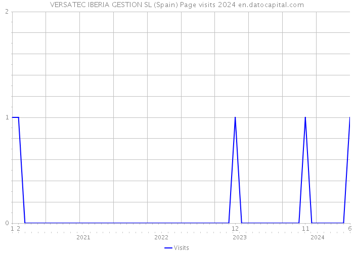 VERSATEC IBERIA GESTION SL (Spain) Page visits 2024 