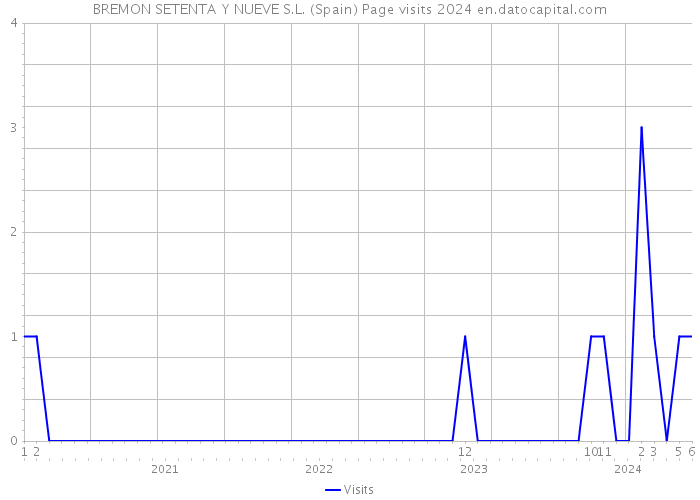 BREMON SETENTA Y NUEVE S.L. (Spain) Page visits 2024 