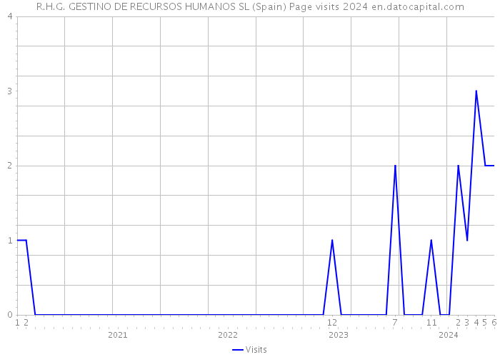 R.H.G. GESTINO DE RECURSOS HUMANOS SL (Spain) Page visits 2024 