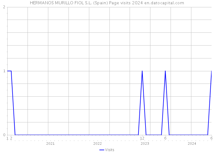 HERMANOS MURILLO FIOL S.L. (Spain) Page visits 2024 