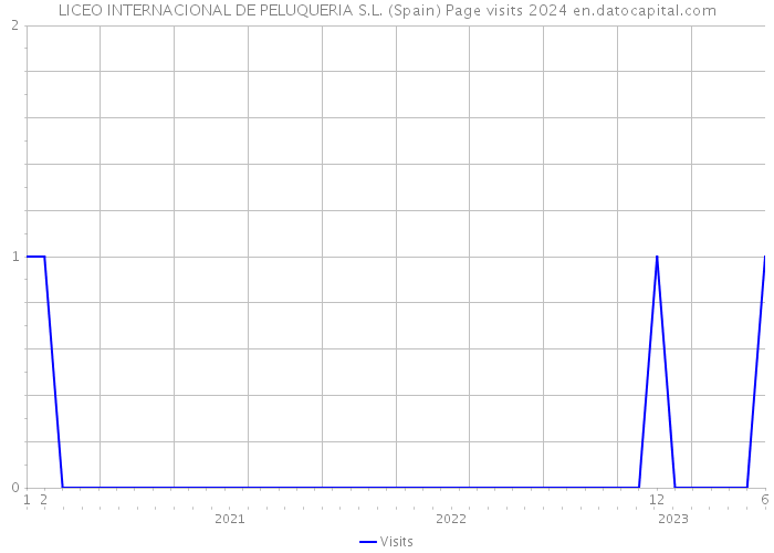 LICEO INTERNACIONAL DE PELUQUERIA S.L. (Spain) Page visits 2024 
