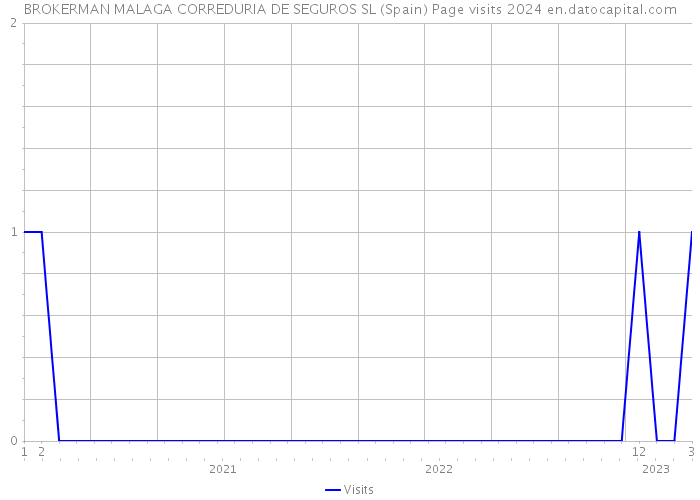 BROKERMAN MALAGA CORREDURIA DE SEGUROS SL (Spain) Page visits 2024 