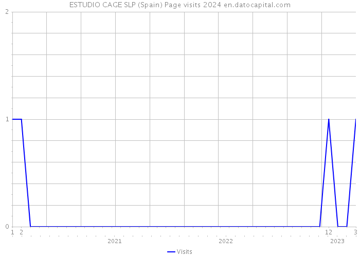 ESTUDIO CAGE SLP (Spain) Page visits 2024 
