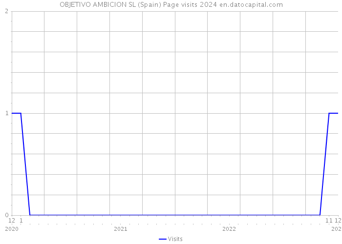 OBJETIVO AMBICION SL (Spain) Page visits 2024 