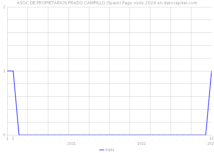 ASOC DE PROPIETARIOS PRADO CAMPILLO (Spain) Page visits 2024 