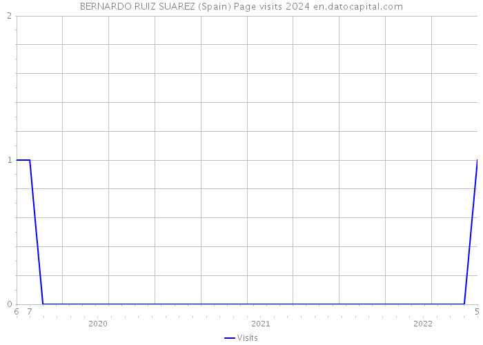 BERNARDO RUIZ SUAREZ (Spain) Page visits 2024 