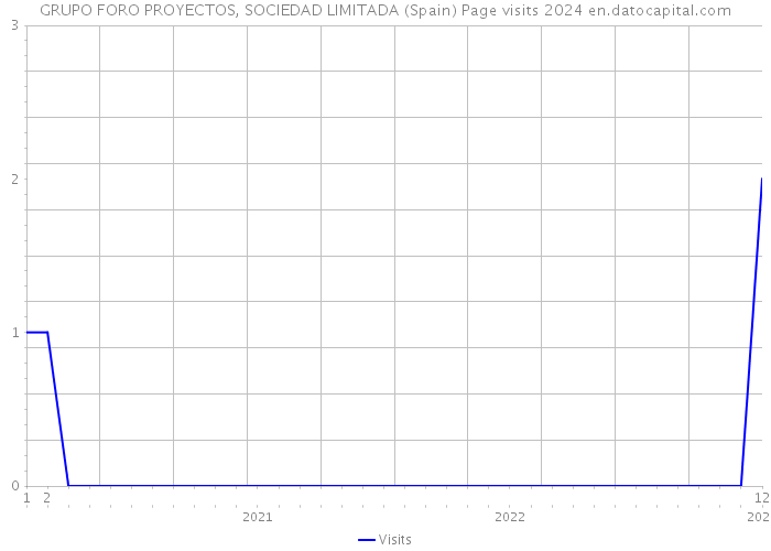 GRUPO FORO PROYECTOS, SOCIEDAD LIMITADA (Spain) Page visits 2024 