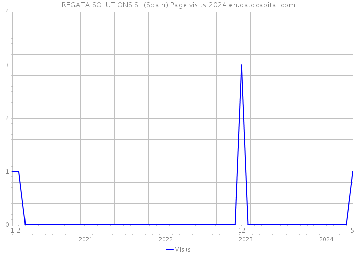 REGATA SOLUTIONS SL (Spain) Page visits 2024 