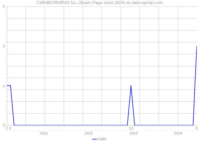 CARNES PROPIAS S.L. (Spain) Page visits 2024 
