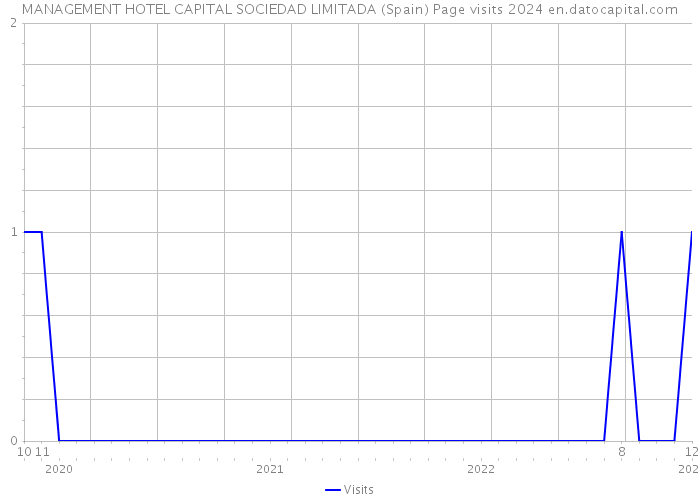 MANAGEMENT HOTEL CAPITAL SOCIEDAD LIMITADA (Spain) Page visits 2024 