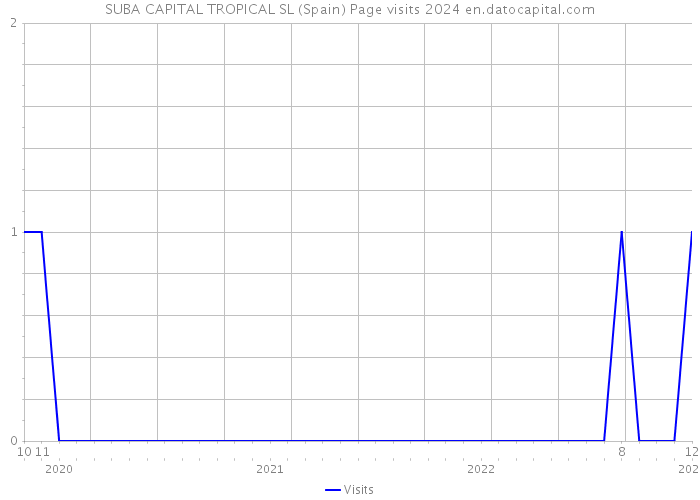 SUBA CAPITAL TROPICAL SL (Spain) Page visits 2024 